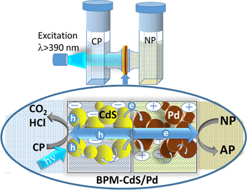 A Bipolar CdS/Pd Photocatalytic Membrane for Selective Segregation of Reduction and Oxidation Processes
